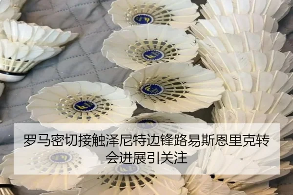 罗马密切接触泽尼特边锋路易斯恩里克转会进展引关注