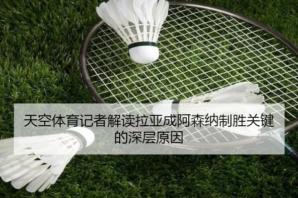 天空体育记者解读拉亚成阿森纳制胜关键的深层原因